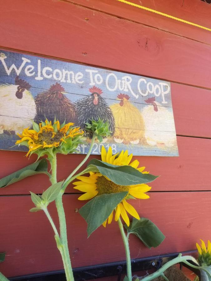 Global Village Permaculture Bnb Oliver Eksteriør bilde